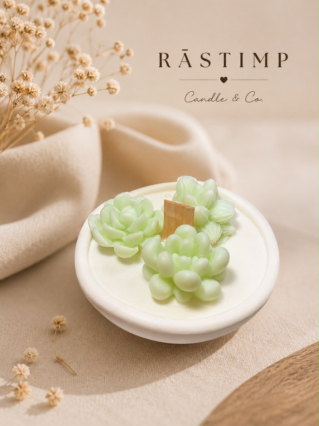 Mărturie Succulente